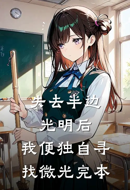 失去半边光明后，我便独自寻找微光完本