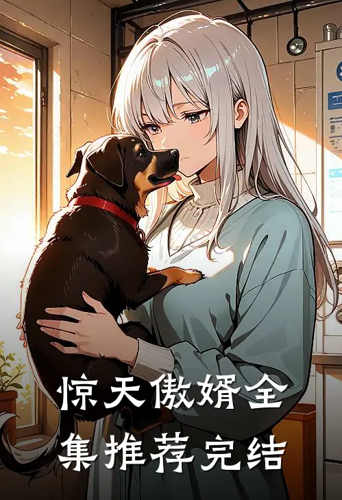 惊天傲婿全集推荐完结