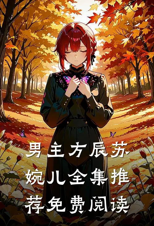 男主方辰苏婉儿全集推荐免费阅读