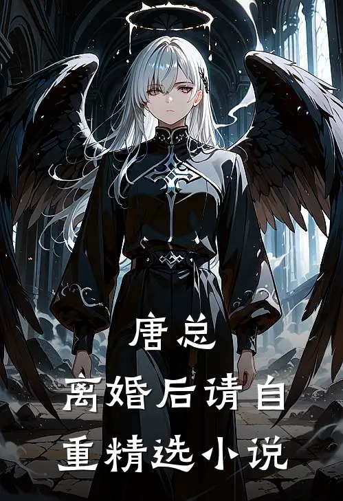 唐总，离婚后请自重精选小说