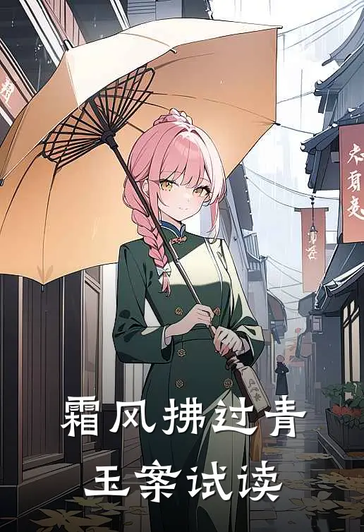 霜风拂过青玉案试读