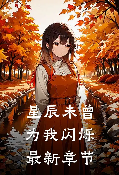 星辰未曾为我闪烁最新章节