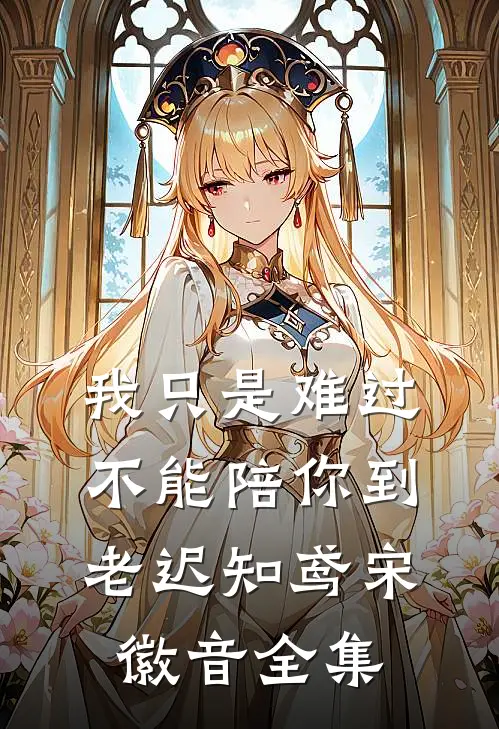 我只是难过不能陪你到老迟知鸢宋徽音全集