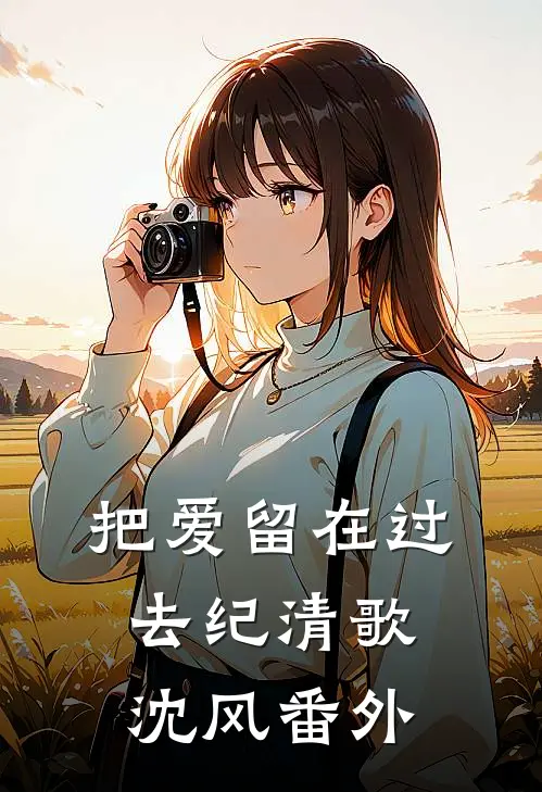 把爱留在过去纪清歌沈风番外