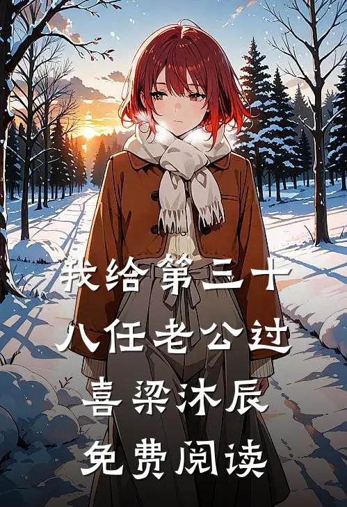 我给第三十八任老公过喜梁沐辰免费阅读