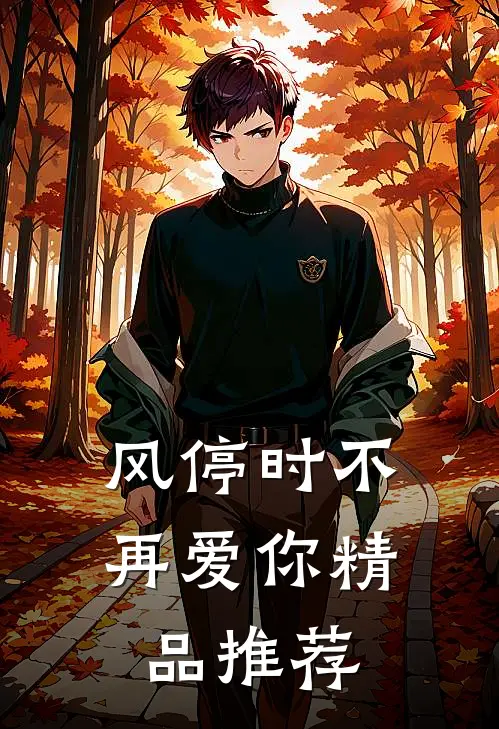 风停时不再爱你精品推荐