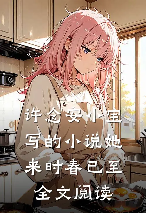 许念安小宝写的小说她来时春已至全文阅读