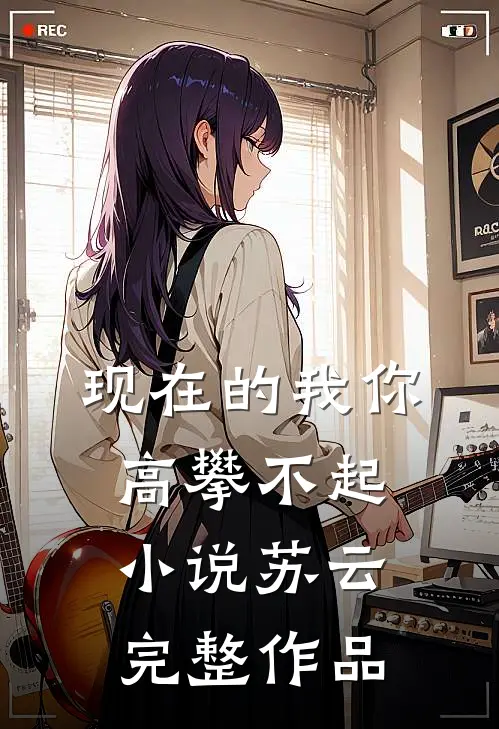 现在的我你高攀不起小说苏云完整作品
