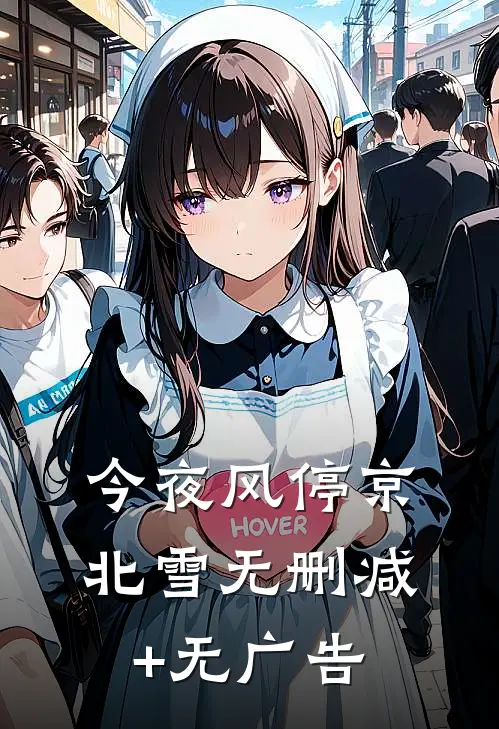 今夜风停京北雪无删减+无广告