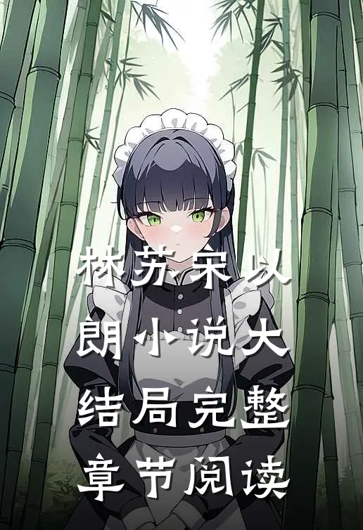 林苏宋以朗小说大结局完整章节阅读