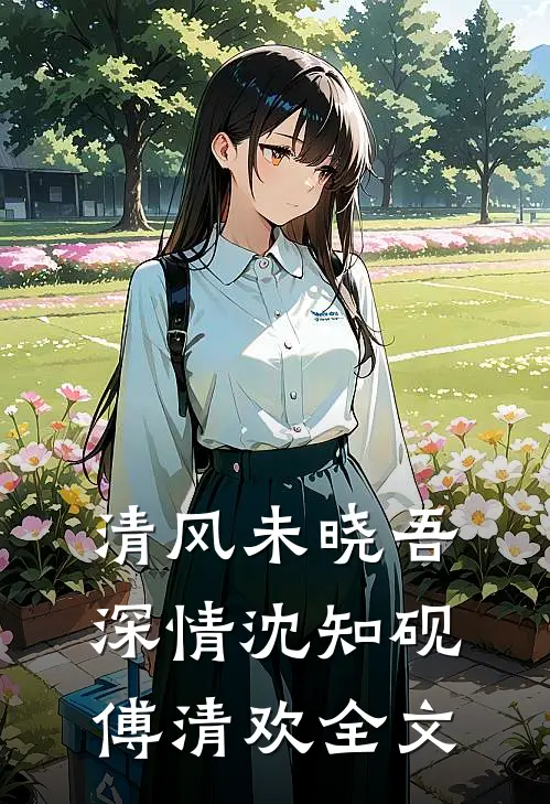 清风未晓吾深情沈知砚傅清欢全文