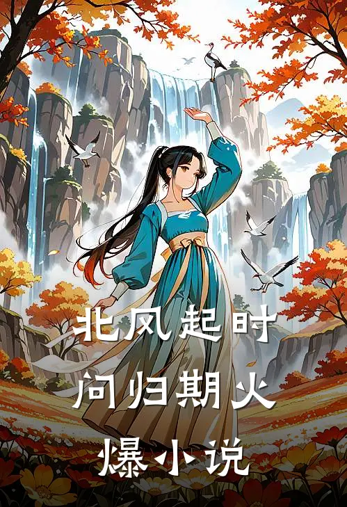 北风起时问归期火爆小说
