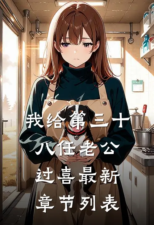 我给第三十八任老公过喜最新章节列表