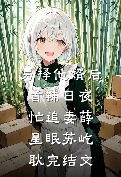 另择他婿后，首辅日夜忙追妻薛星眠苏屹耿完结文