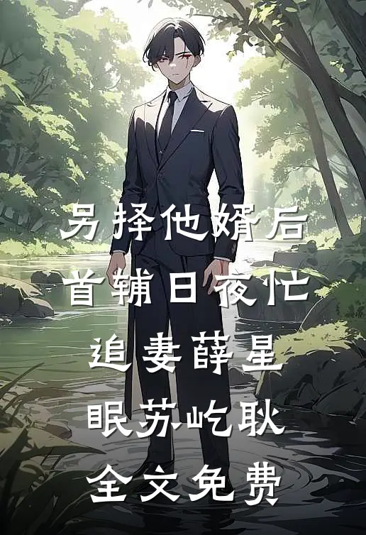 另择他婿后，首辅日夜忙追妻薛星眠苏屹耿全文免费