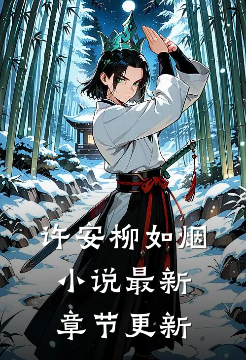 许安柳如烟小说最新章节更新