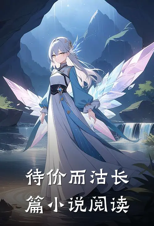 待价而沽长篇小说阅读