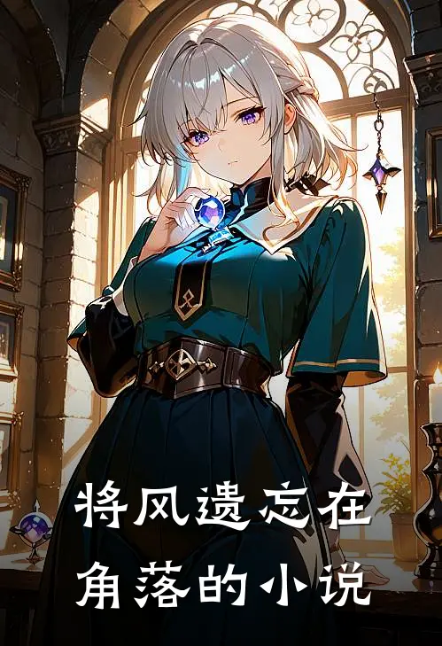 将风遗忘在角落的小说