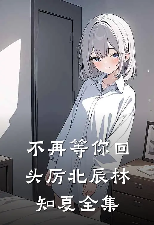 不再等你回头厉北辰林知夏全集