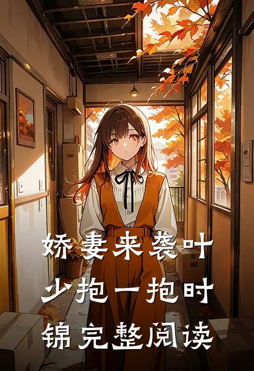 娇妻来袭叶少抱一抱 时锦完整阅读
