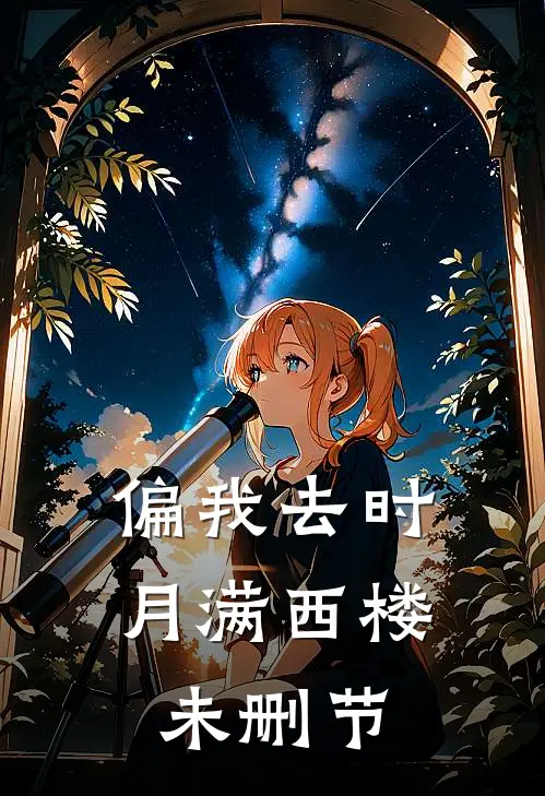 偏我去时月满西楼未删节