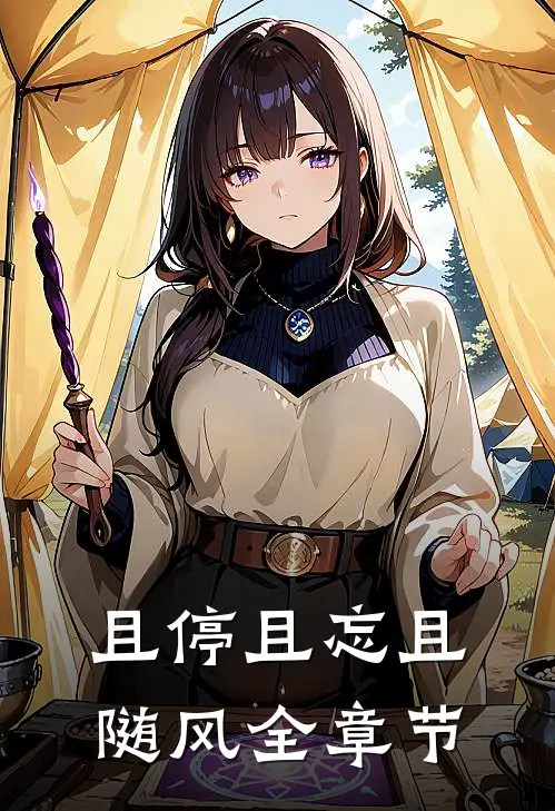 且停且忘且随风全章节