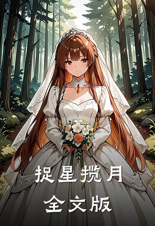 捉星揽月全文版