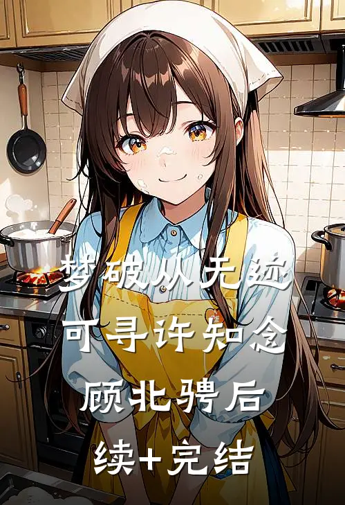 梦破从无迹可寻许知念顾北骋后续+完结