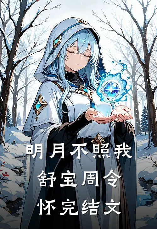 明月不照我舒宝周令怀完结文