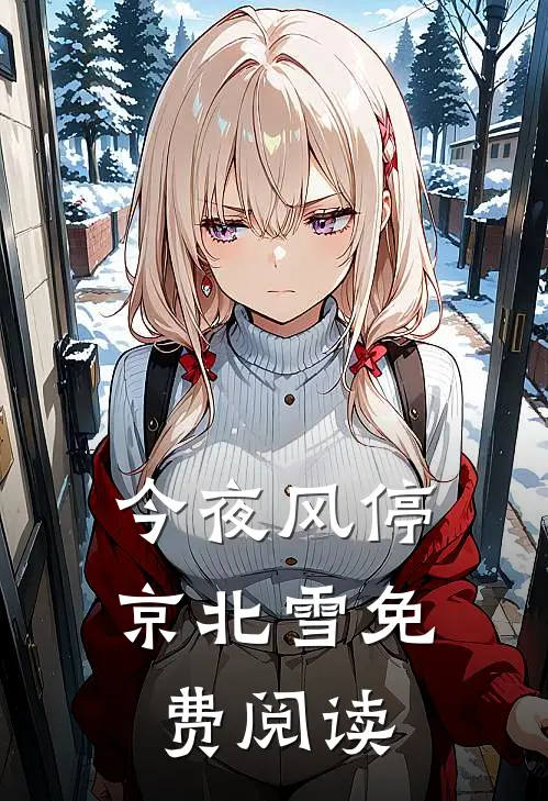 今夜风停京北雪免费阅读