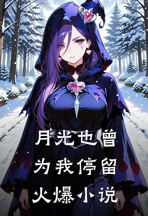 月光也曾为我停留火爆小说