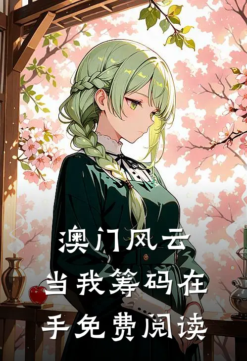 澳门风云：当我筹码在手免费阅读