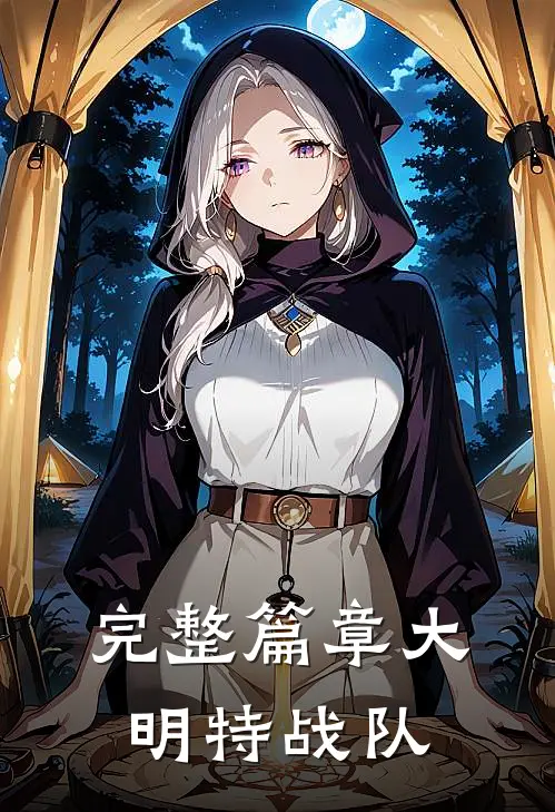 完整篇章大明特战队