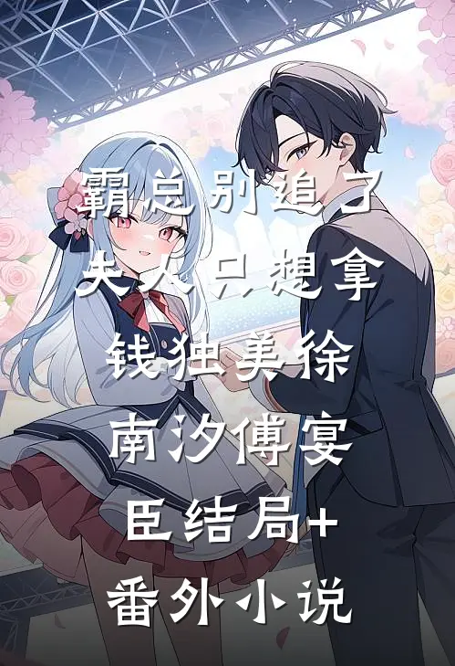 霸总别追了，夫人只想拿钱独美徐南汐傅宴臣结局+番外小说