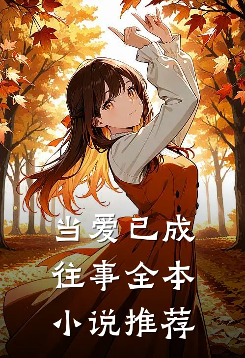 当爱已成往事全本小说推荐