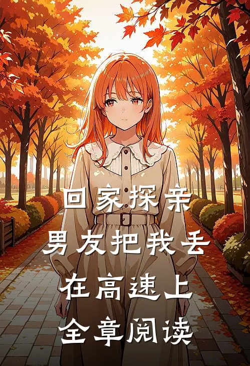 回家探亲，男友把我丢在高速上全章阅读