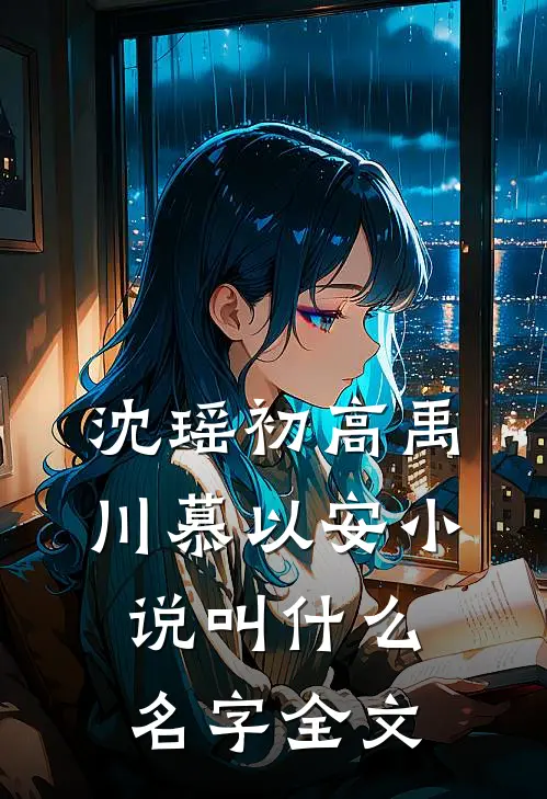 沈瑶初高禹川慕以安小说叫什么名字全文