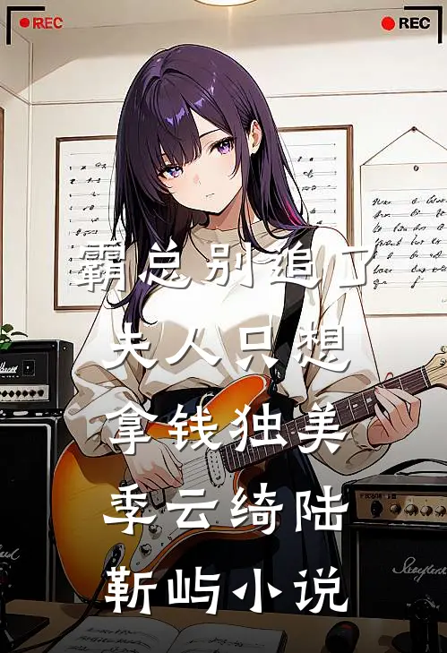 霸总别追了，夫人只想拿钱独美季云绮陆靳屿小说
