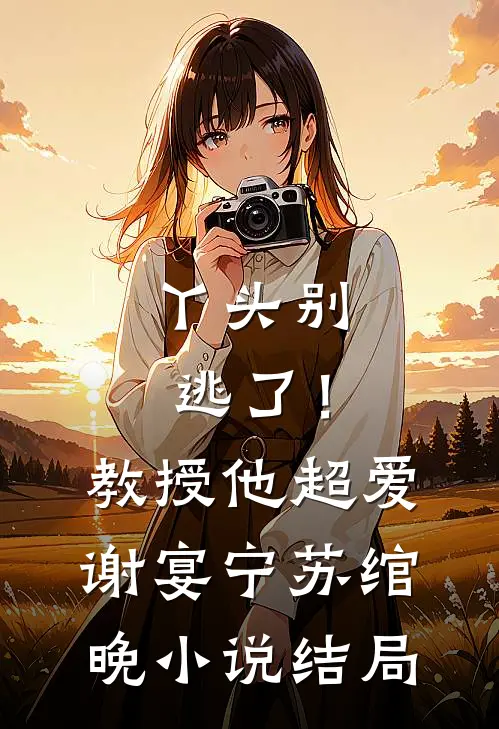 丫头别逃了！教授他超爱谢宴宁苏绾晚小说结局