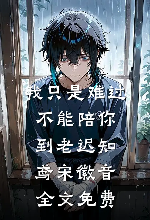 我只是难过不能陪你到老迟知鸢宋徽音全文免费