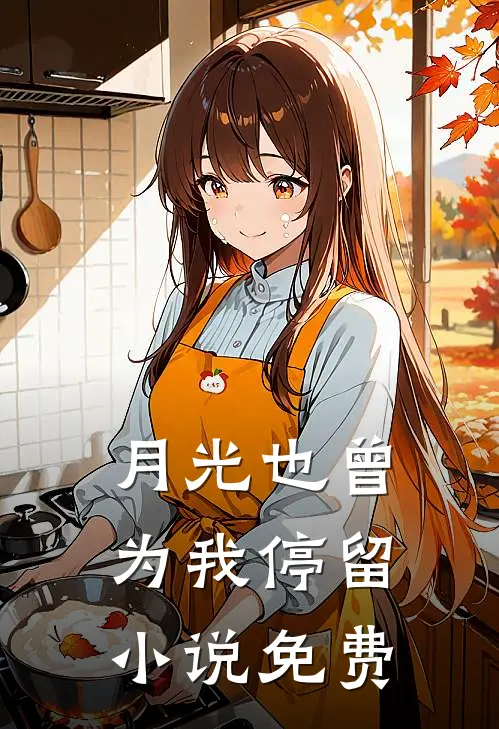 月光也曾为我停留小说免费
