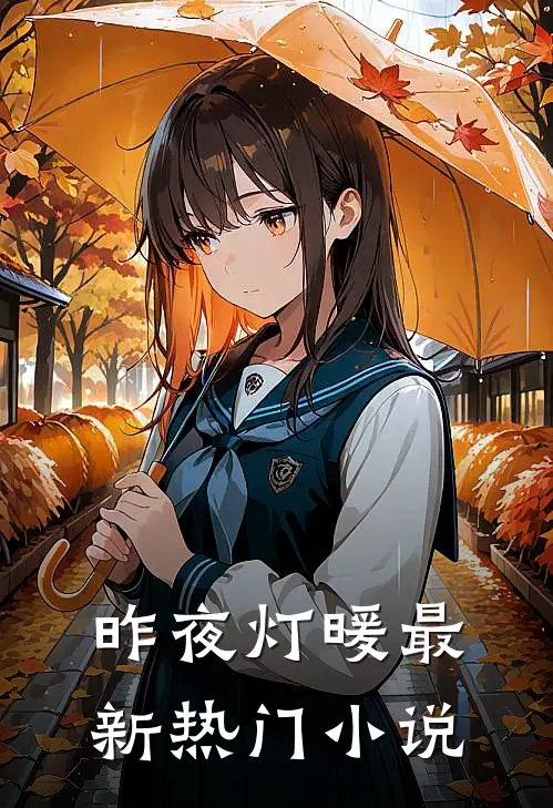 昨夜灯暖最新热门小说