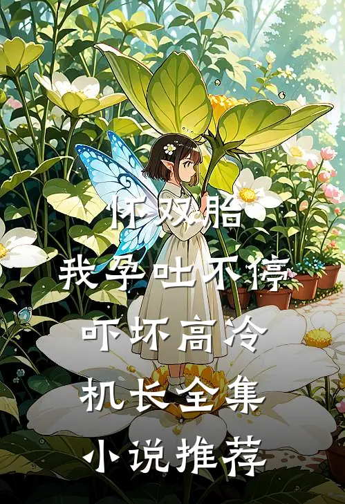 怀双胎，我孕吐不停吓坏高冷机长全集小说推荐