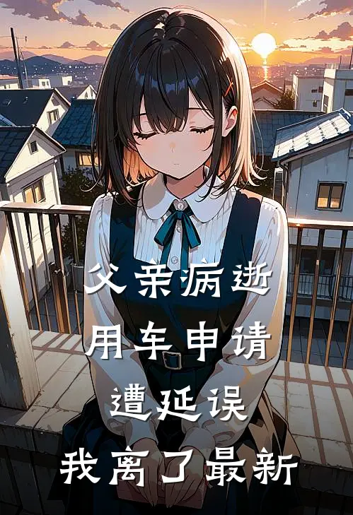 父亲病逝用车申请遭延误，我离了最新