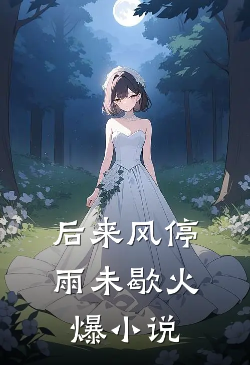 后来风停雨未歇火爆小说