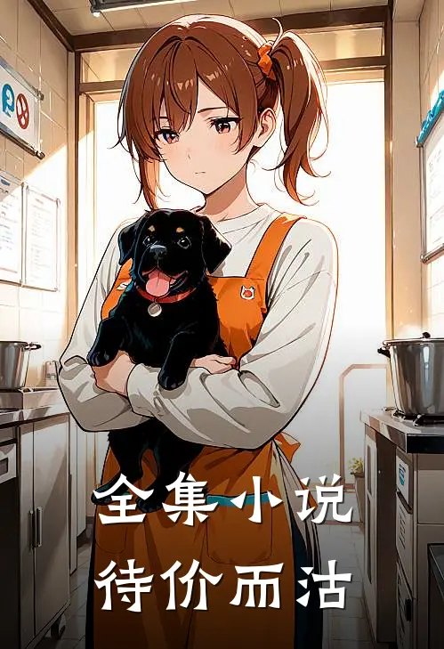 全集小说待价而沽