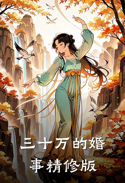 三十万的婚事精修版