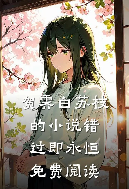 贺霁白苏枝的小说错过即永恒免费阅读