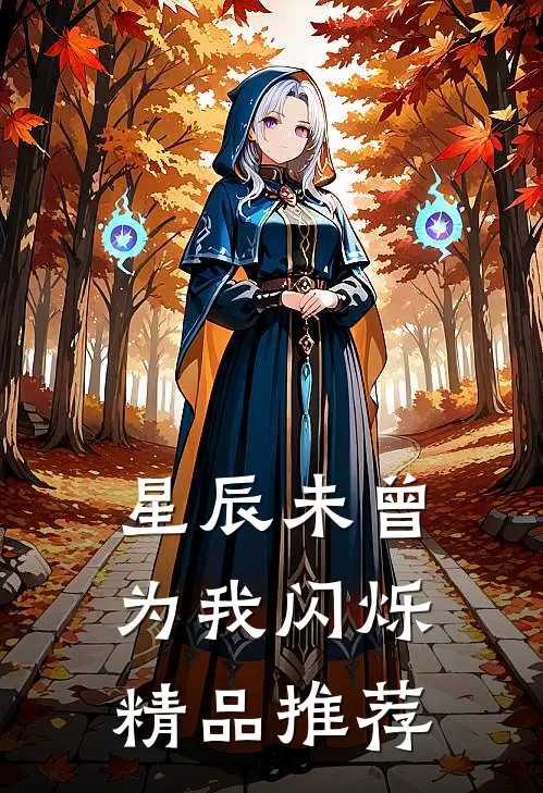 星辰未曾为我闪烁精品推荐
