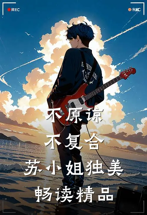不原谅，不复合，苏小姐独美畅读精品